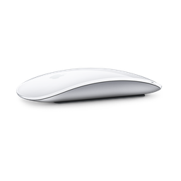 [MK2E3BE/A] Apple Magic Mouse (2021)