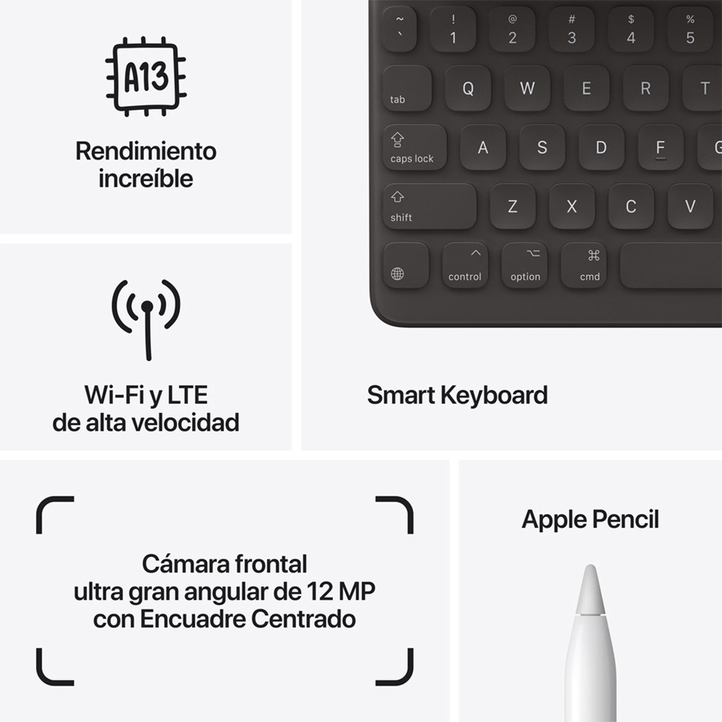 iPad 10.2 - WiFi + Cellular, 256GB - Gris Espacial