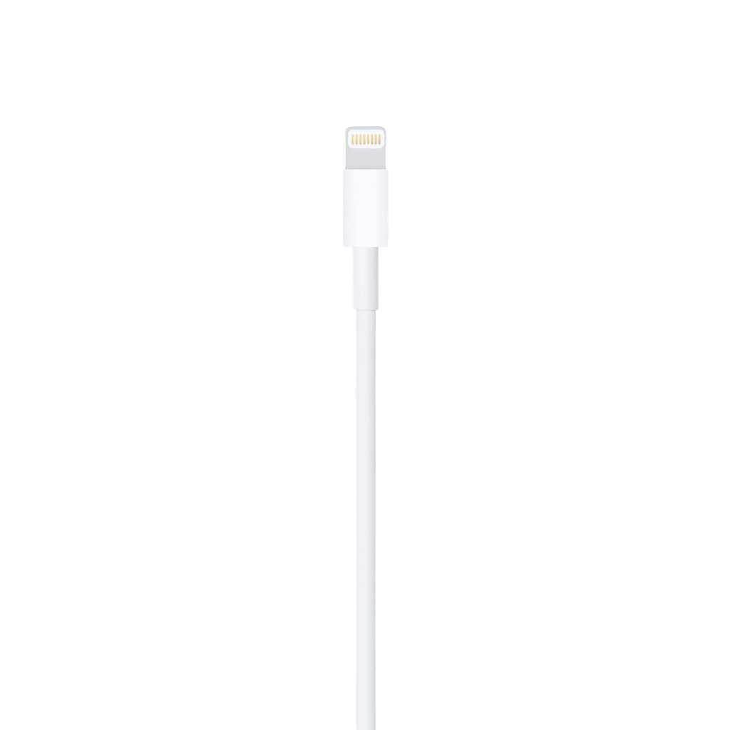 Cable Apple Lightning a USB (1 M)