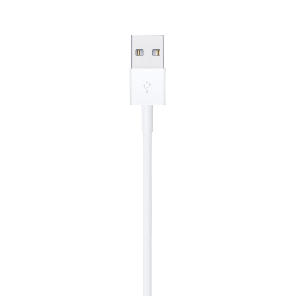 Cable Apple Lightning a USB (1 M)